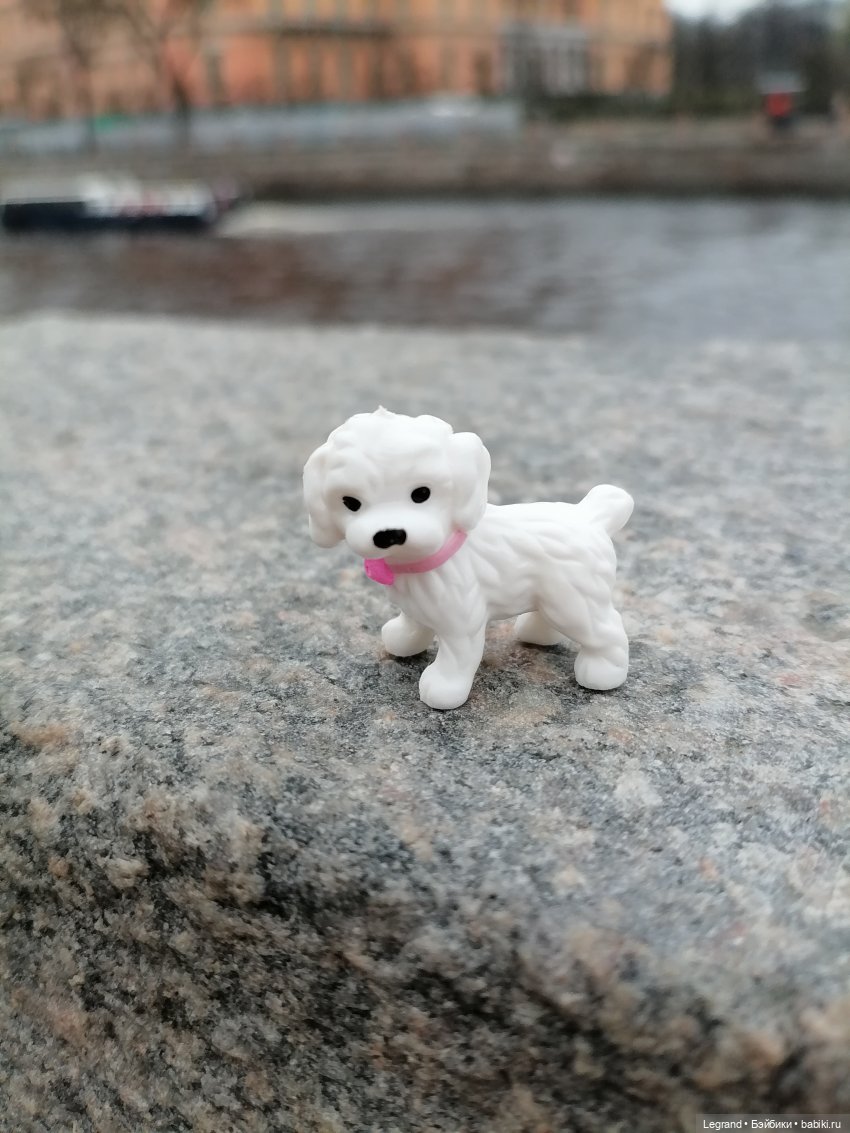 Санкт-Петербург. Ещё одна апрельская прогулка с питомцами