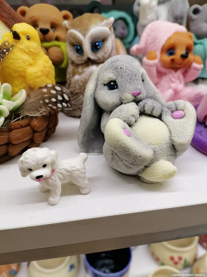 Санкт-Петербург. Ещё одна апрельская прогулка с питомцами