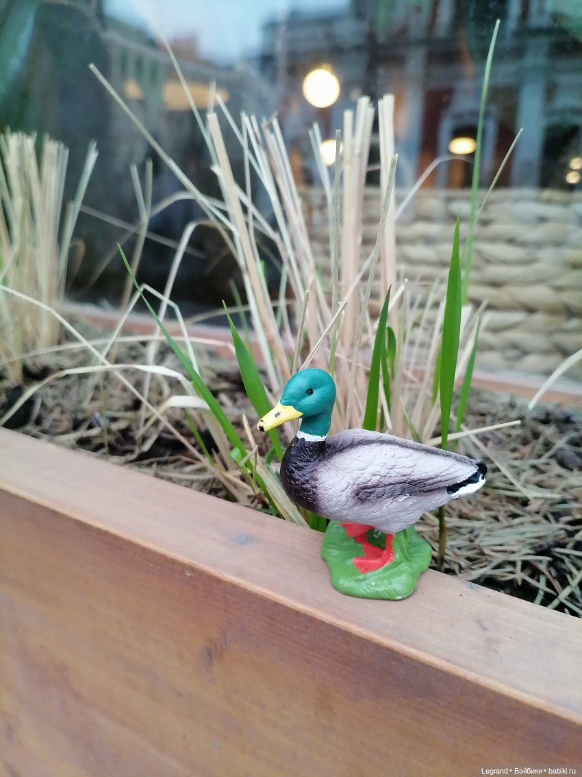 Санкт-Петербург. Ещё одна апрельская прогулка с питомцами