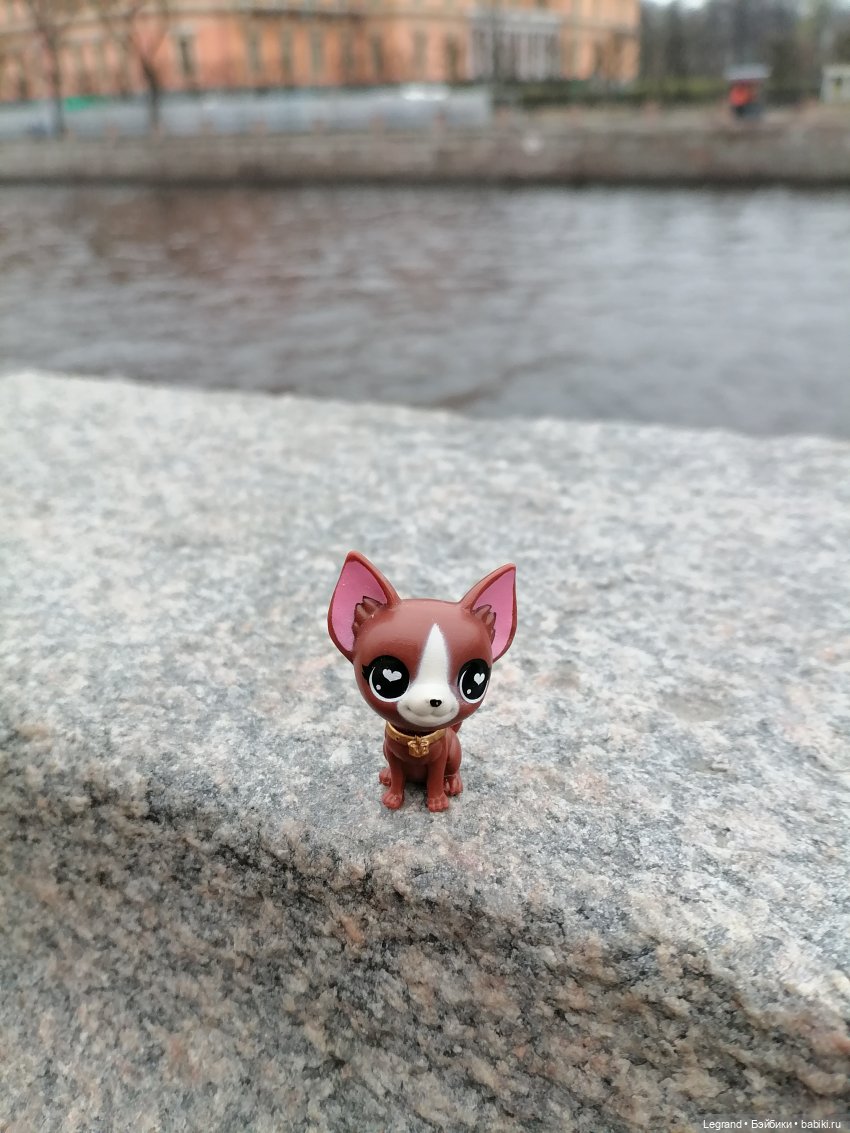 Санкт-Петербург. Ещё одна апрельская прогулка с питомцами