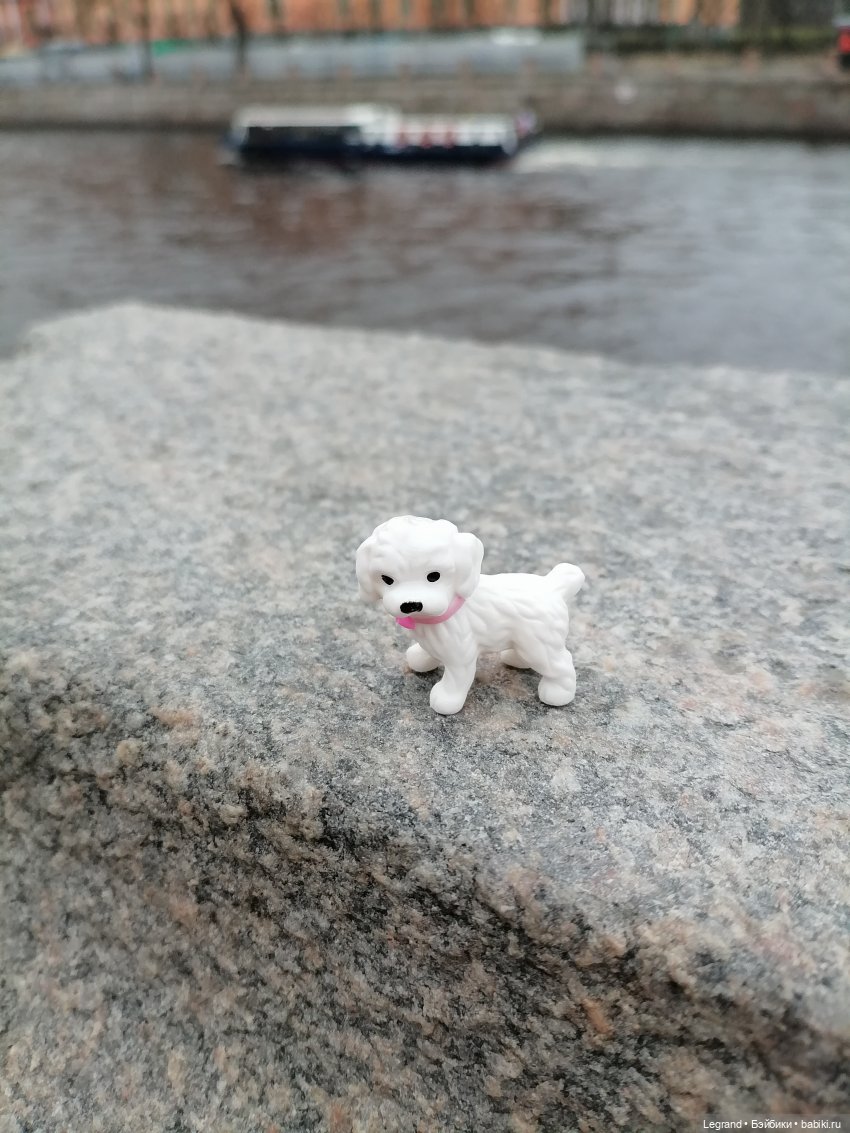 Санкт-Петербург. Ещё одна апрельская прогулка с питомцами