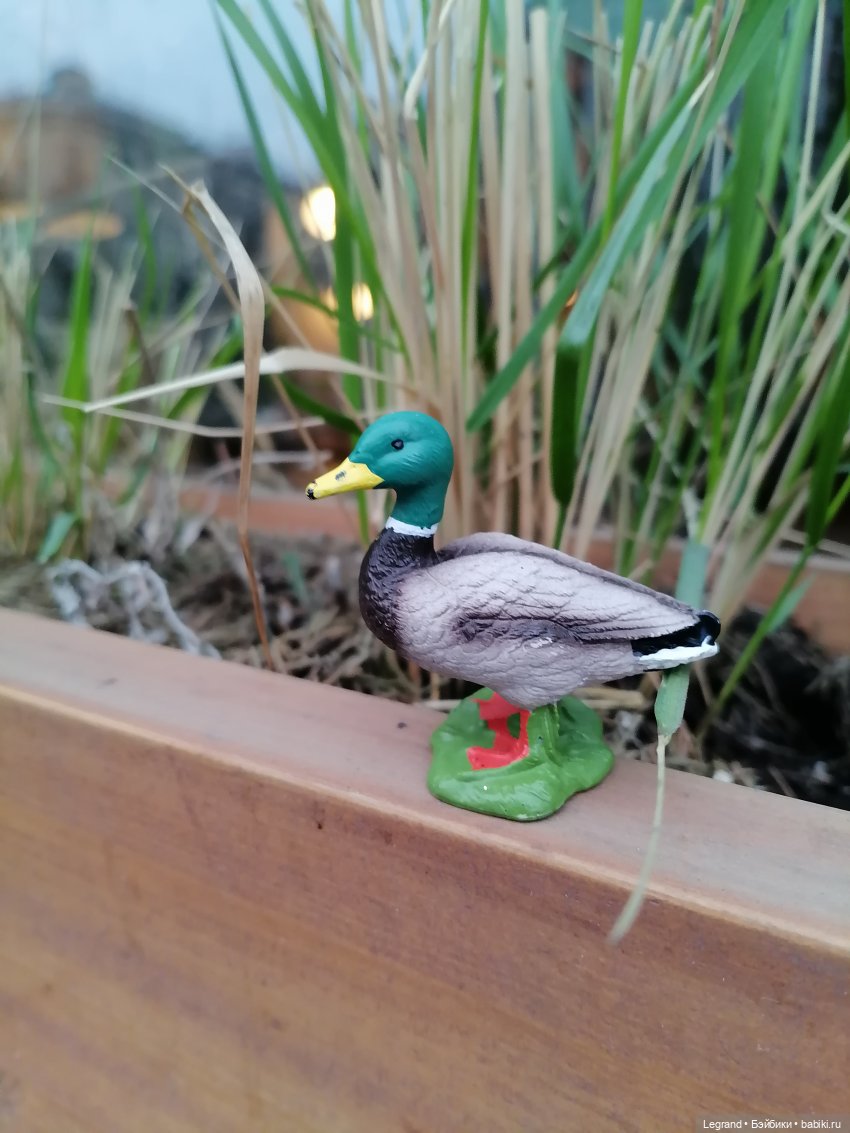 Санкт-Петербург. Ещё одна апрельская прогулка с питомцами