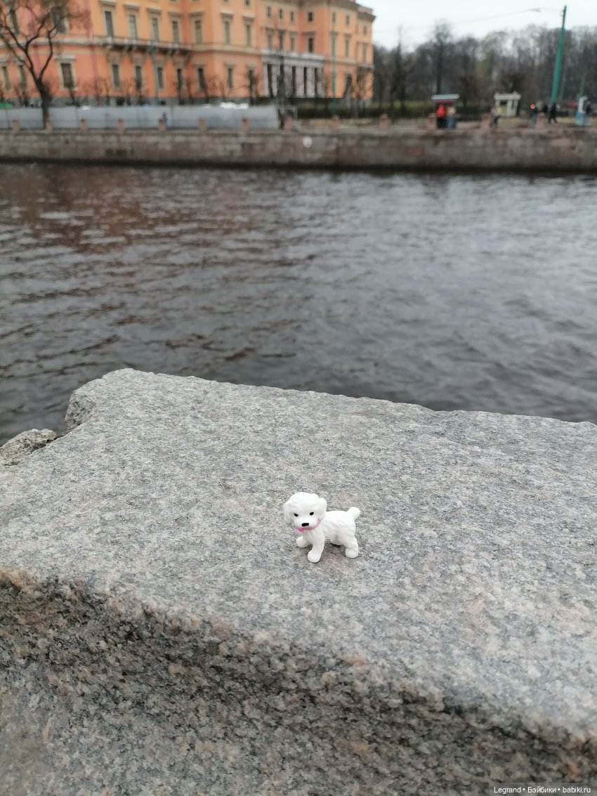 Санкт-Петербург. Ещё одна апрельская прогулка с питомцами