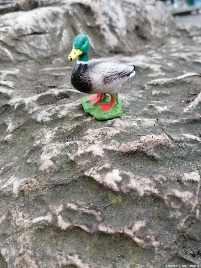 Санкт-Петербург. Ещё одна апрельская прогулка с питомцами