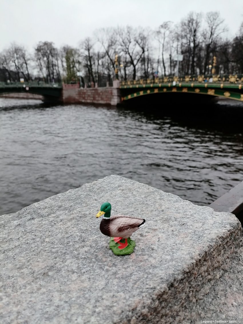 Санкт-Петербург. Ещё одна апрельская прогулка с питомцами