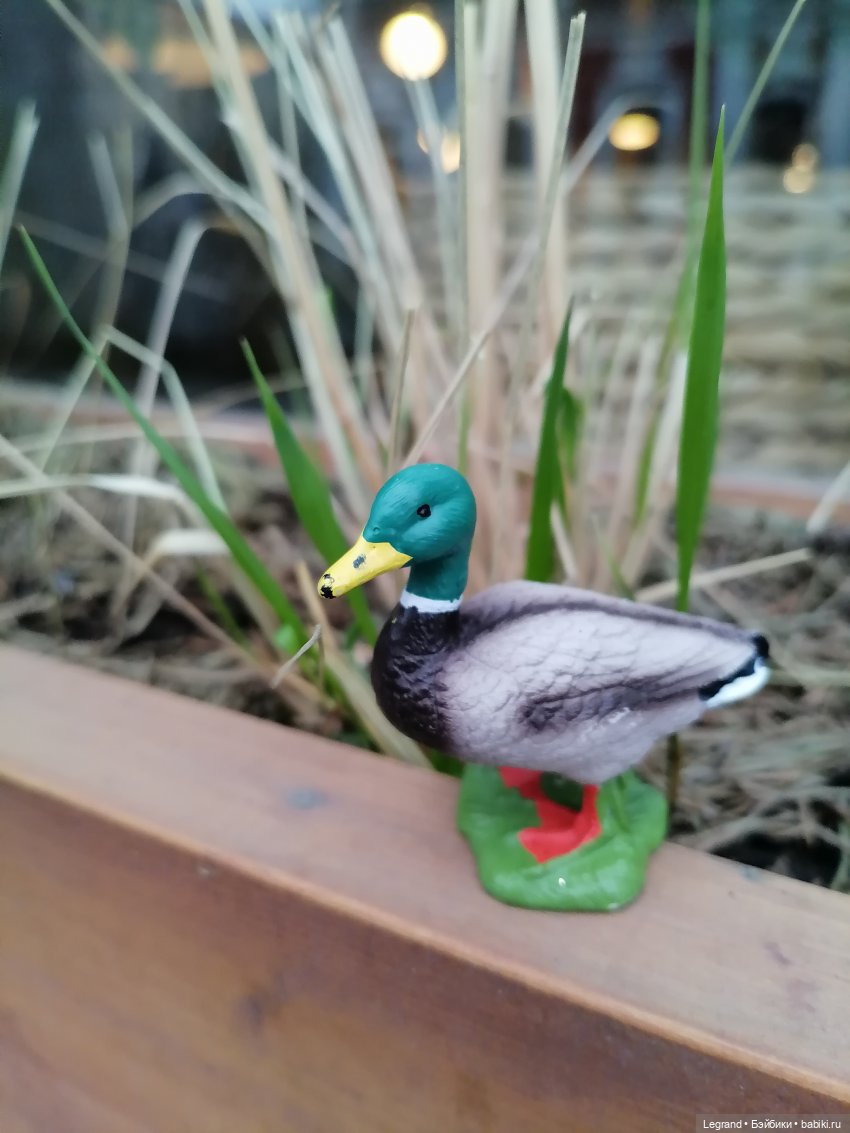 Санкт-Петербург. Ещё одна апрельская прогулка с питомцами