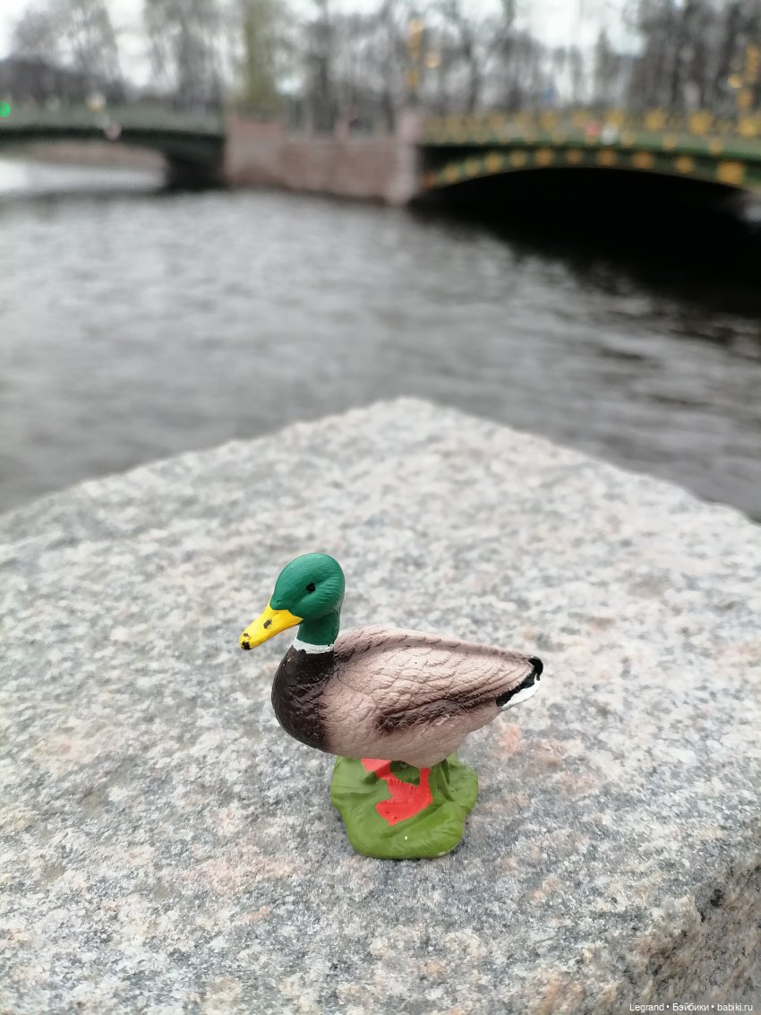 Санкт-Петербург. Ещё одна апрельская прогулка с питомцами