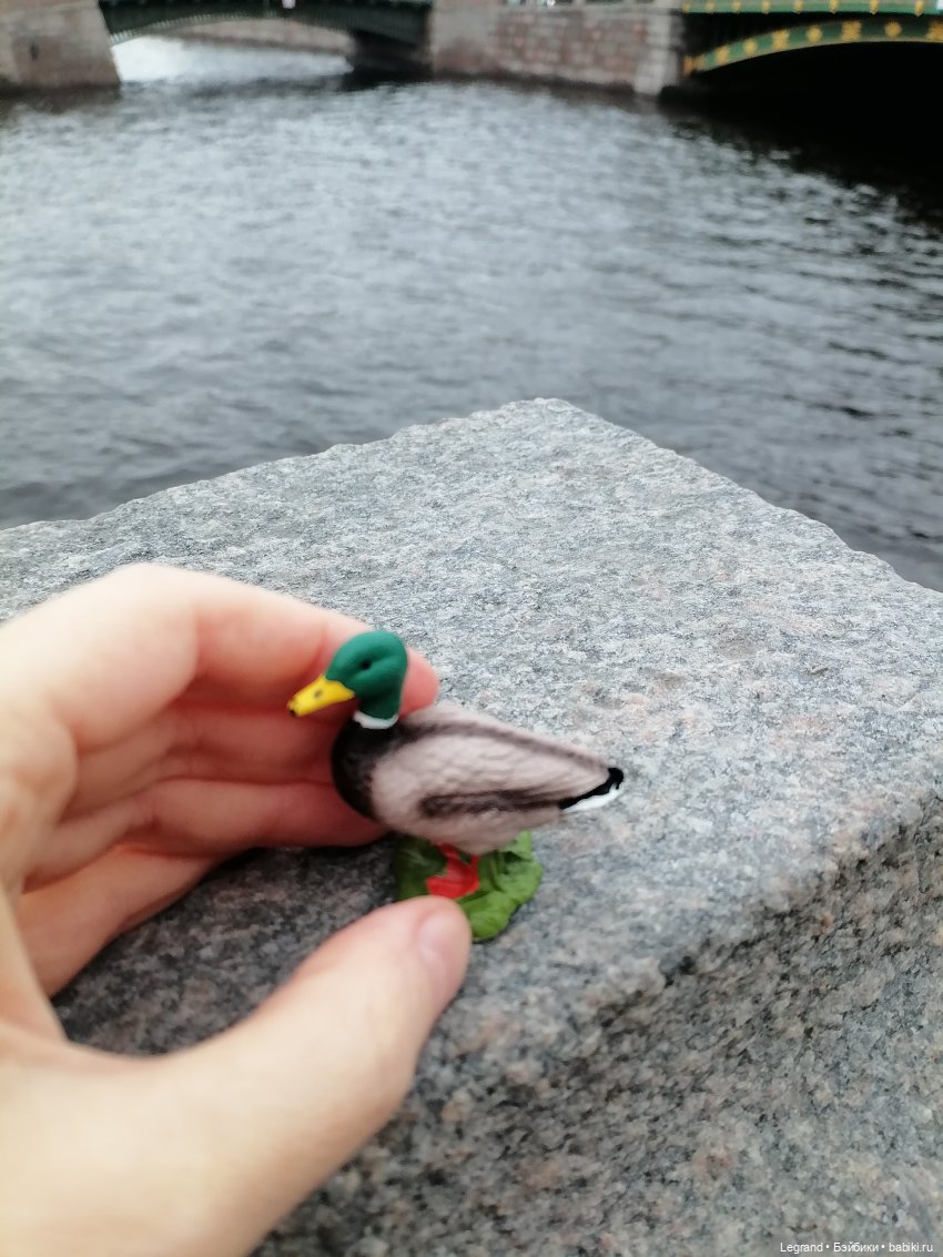 Санкт-Петербург. Ещё одна апрельская прогулка с питомцами