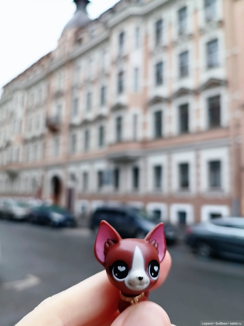 Санкт-Петербург. Ещё одна апрельская прогулка с питомцами (фото 4)