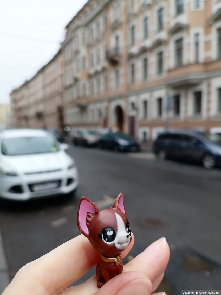 Санкт-Петербург. Ещё одна апрельская прогулка с питомцами (фото 7)