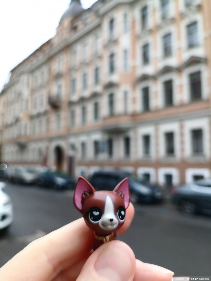 Санкт-Петербург. Ещё одна апрельская прогулка с питомцами (фото 6)