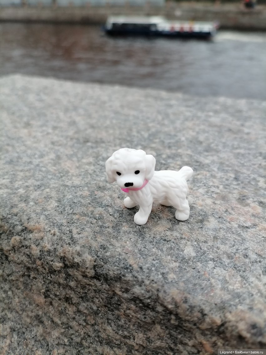 Санкт-Петербург. Ещё одна апрельская прогулка с питомцами