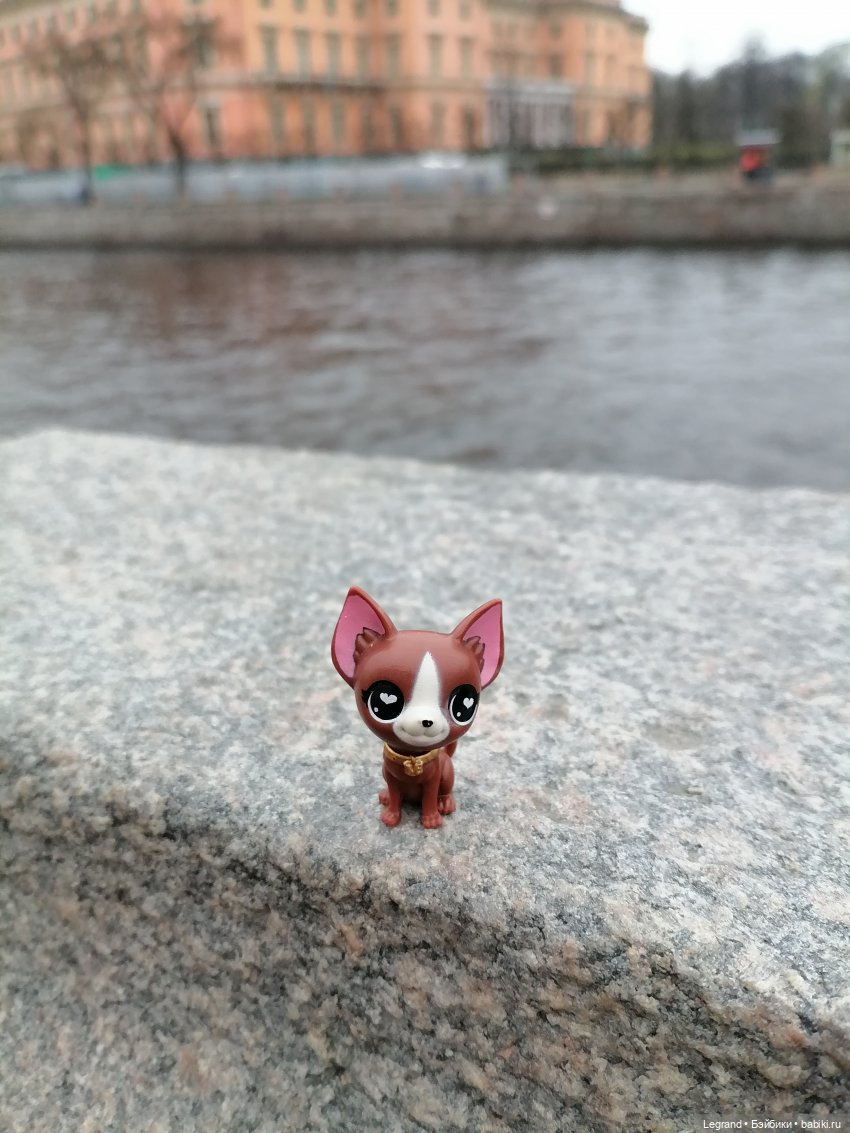 Санкт-Петербург. Ещё одна апрельская прогулка с питомцами