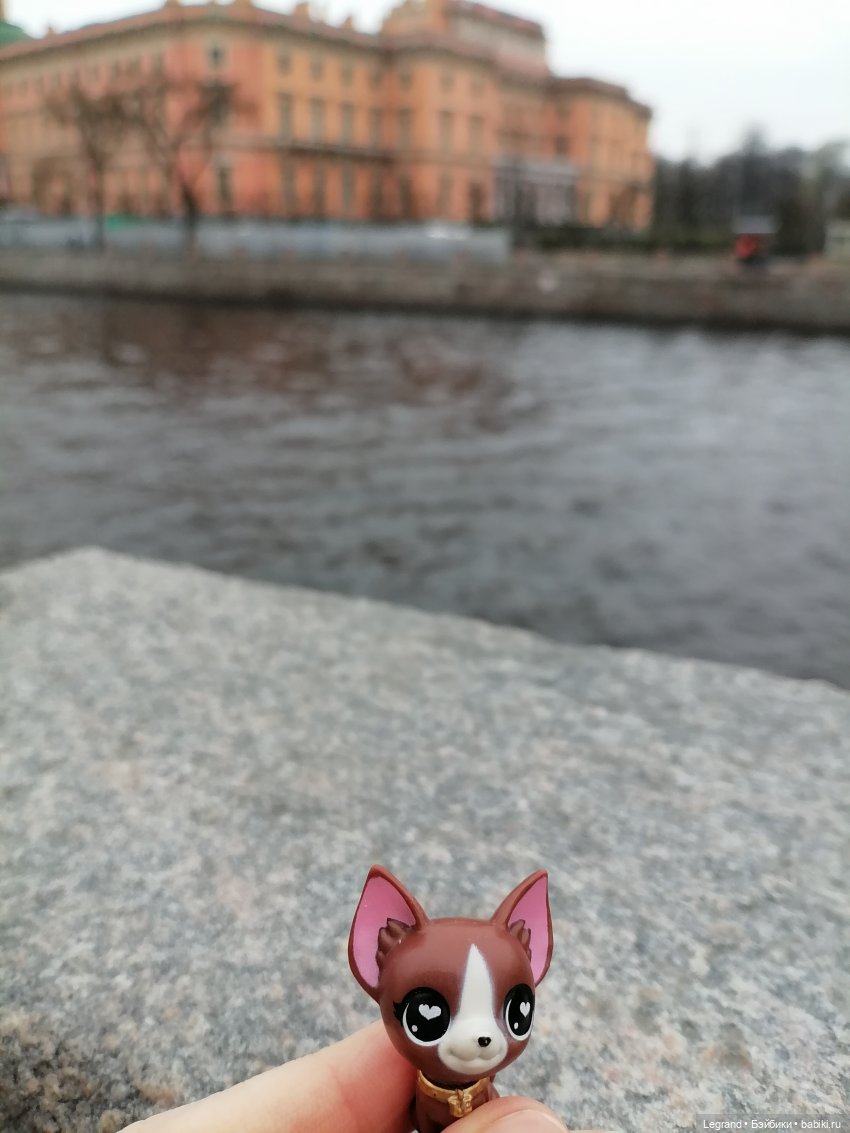 Санкт-Петербург. Ещё одна апрельская прогулка с питомцами