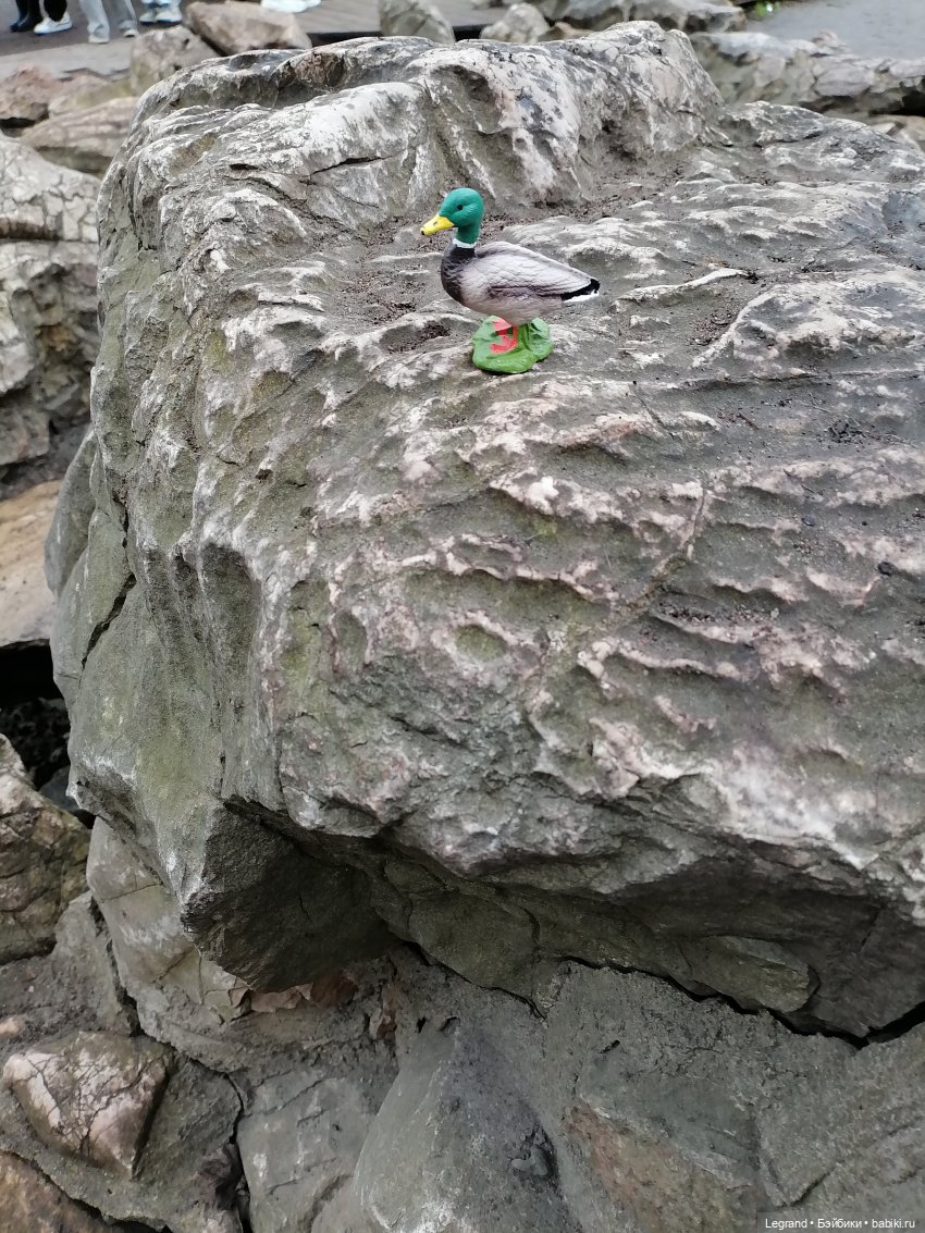 Санкт-Петербург. Ещё одна апрельская прогулка с питомцами