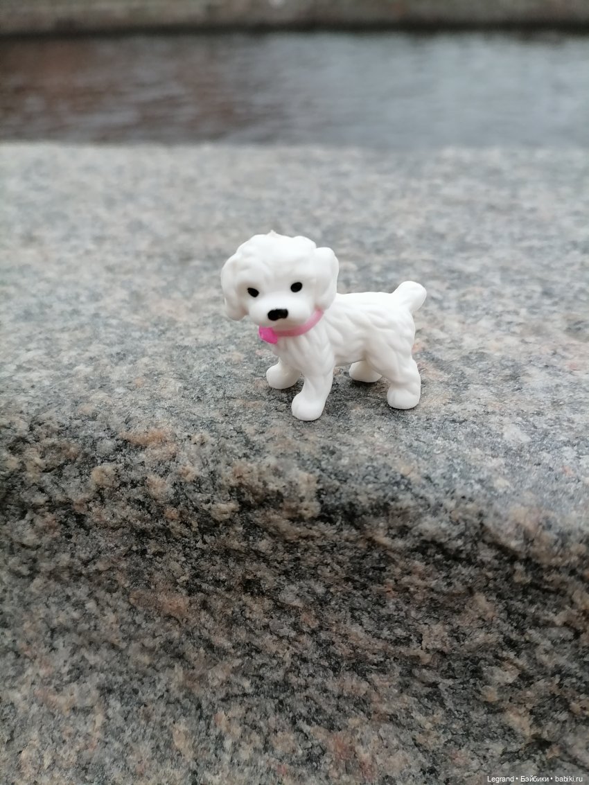 Санкт-Петербург. Ещё одна апрельская прогулка с питомцами