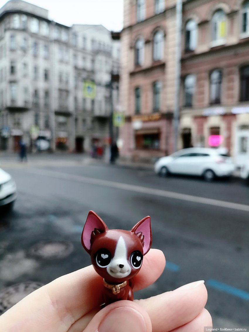 Санкт-Петербург. Ещё одна апрельская прогулка с питомцами (фото 3)