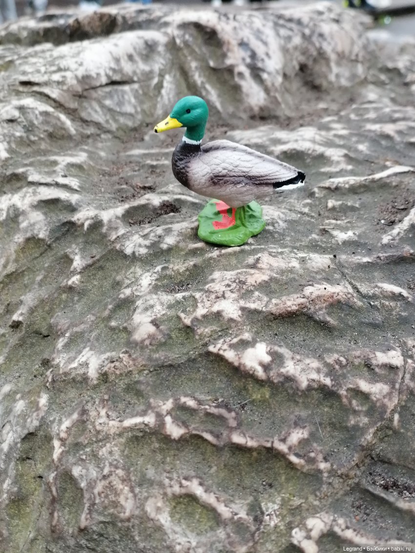 Санкт-Петербург. Ещё одна апрельская прогулка с питомцами