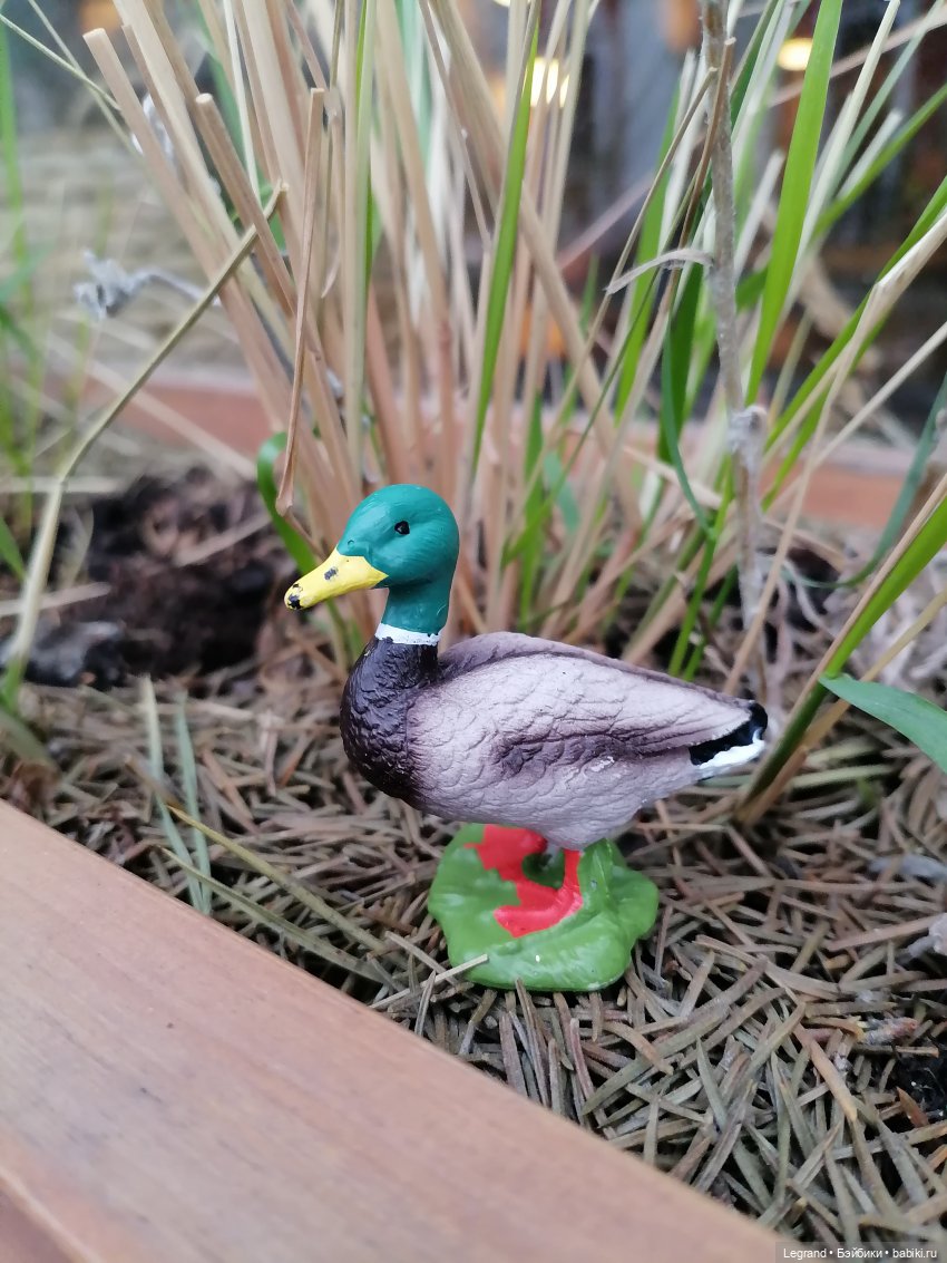 Санкт-Петербург. Ещё одна апрельская прогулка с питомцами