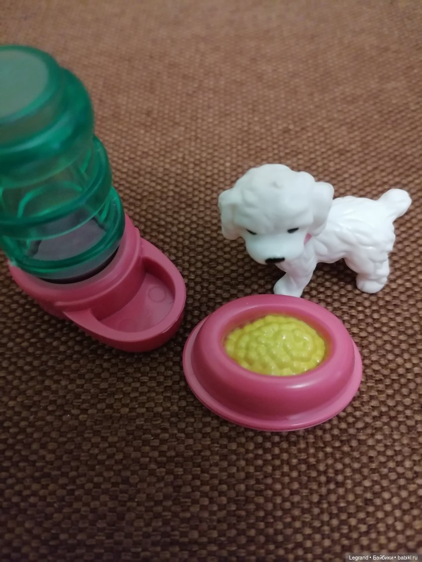 Санкт-Петербург. Ещё одна апрельская прогулка с питомцами (фото 2)