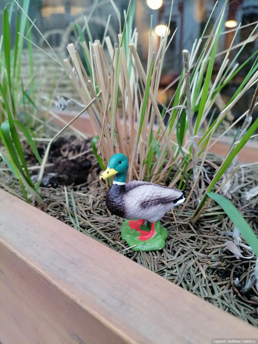 Санкт-Петербург. Ещё одна апрельская прогулка с питомцами