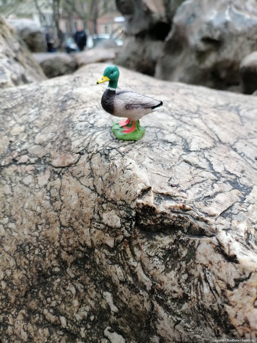 Санкт-Петербург. Ещё одна апрельская прогулка с питомцами