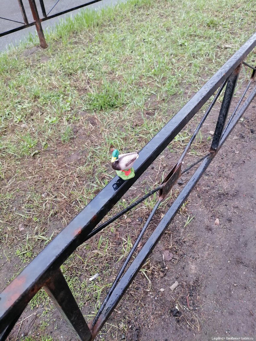 Санкт-Петербург. Ещё одна апрельская прогулка с питомцами (фото 10)