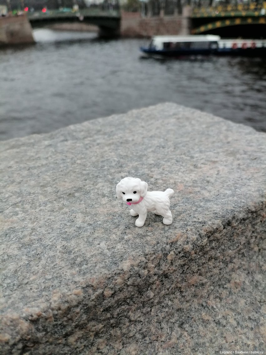 Санкт-Петербург. Ещё одна апрельская прогулка с питомцами