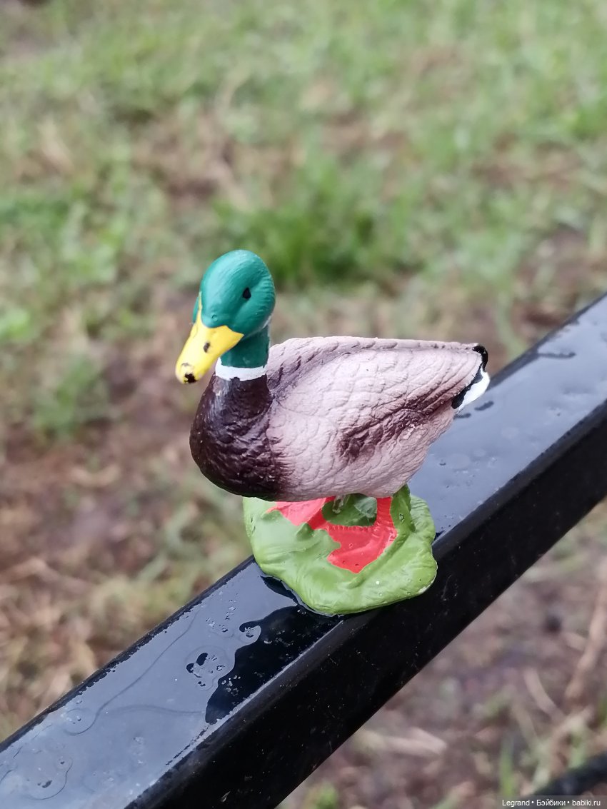 Санкт-Петербург. Ещё одна апрельская прогулка с питомцами