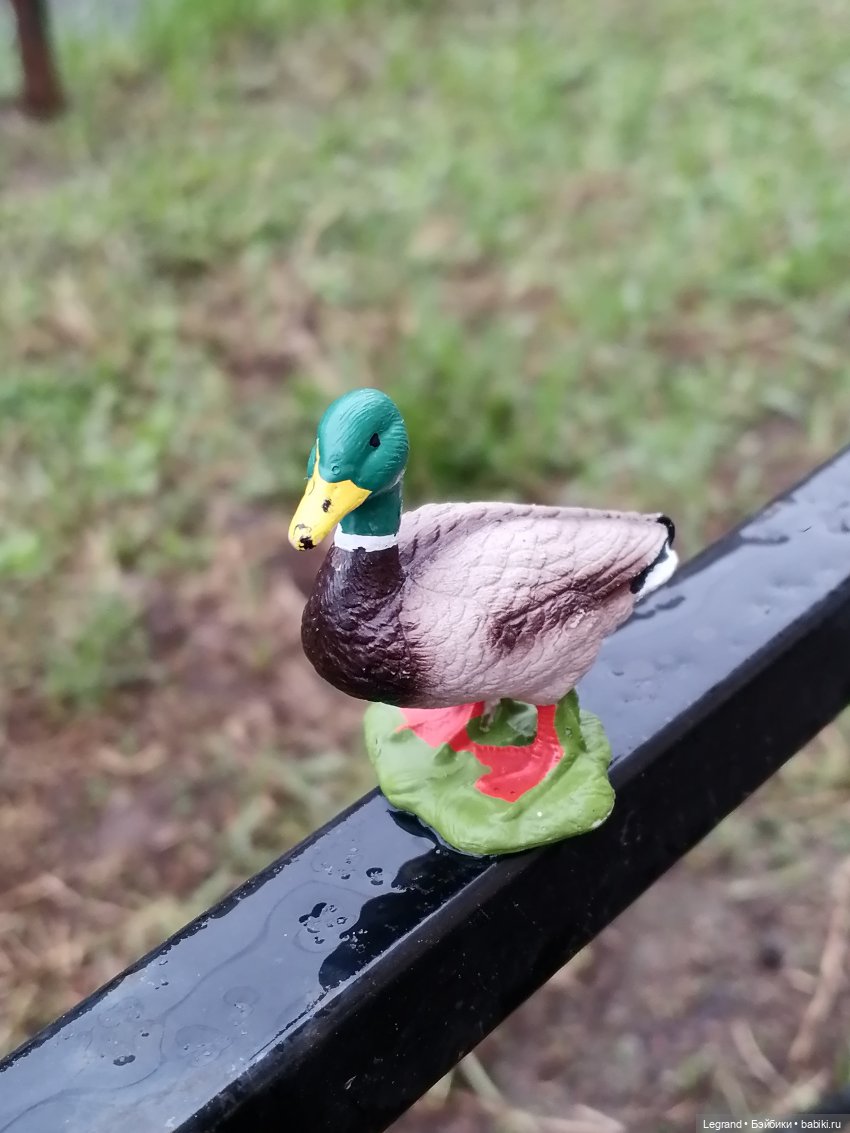 Санкт-Петербург. Ещё одна апрельская прогулка с питомцами