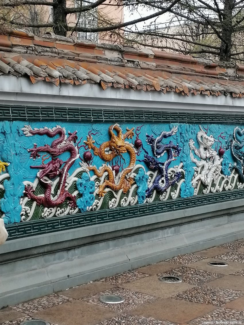 Санкт-Петербург. Пышное цветение сакуры