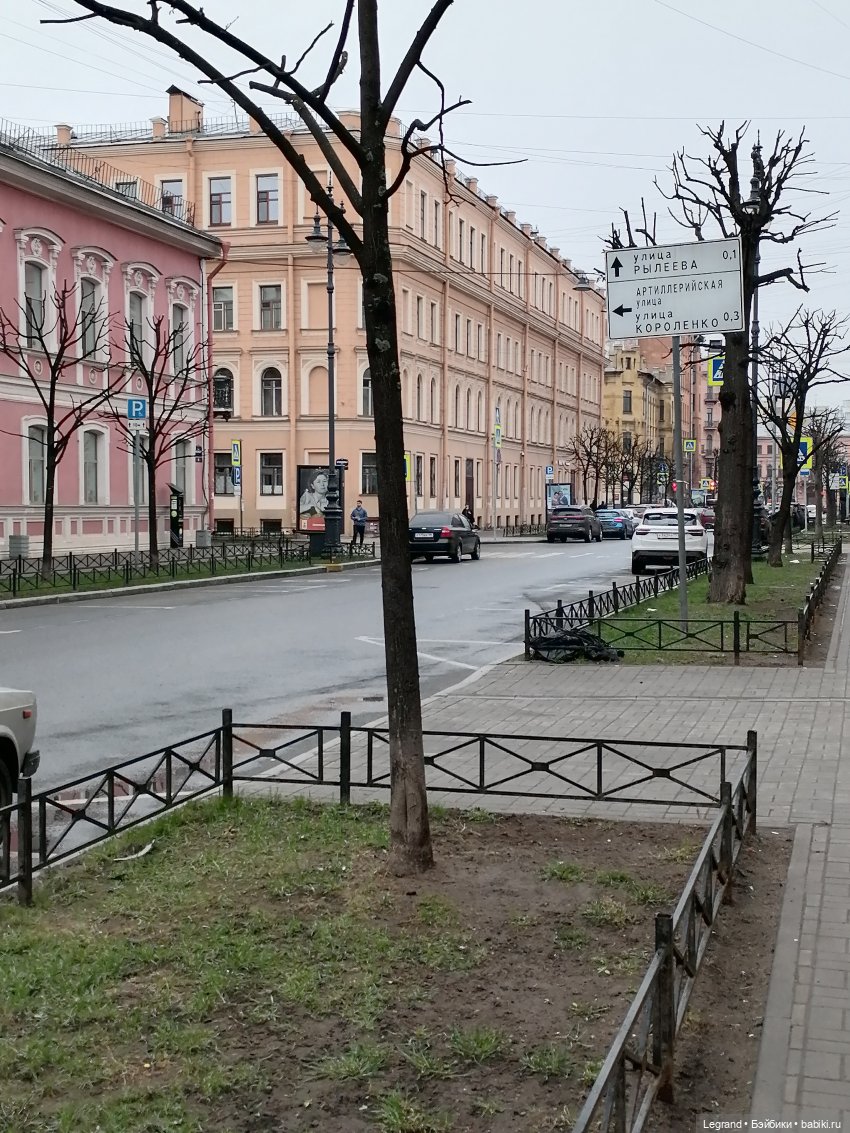 Санкт-Петербург. Пышное цветение сакуры (фото 5)