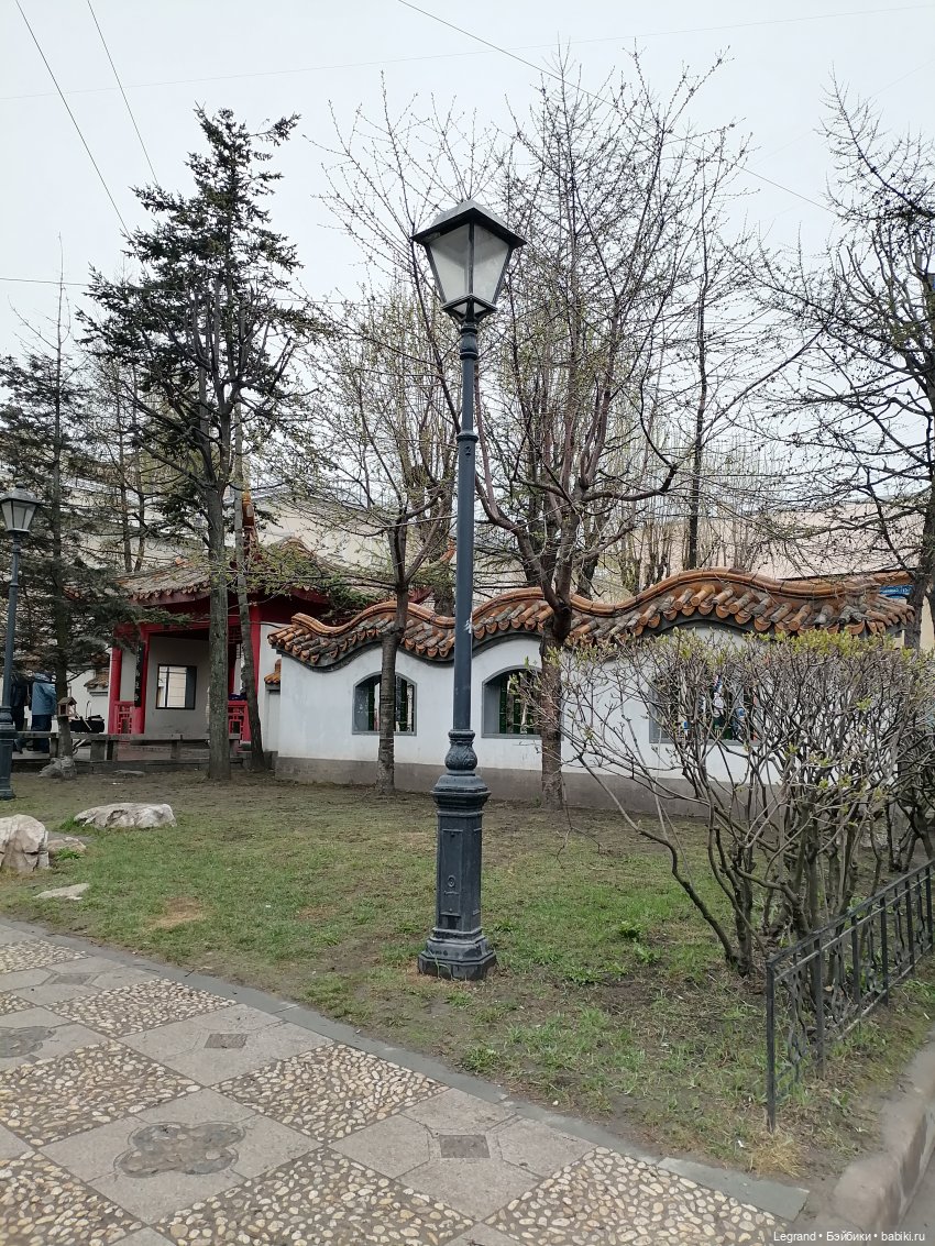 Санкт-Петербург. Пышное цветение сакуры