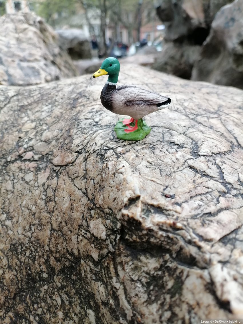 Санкт-Петербург. Пышное цветение сакуры