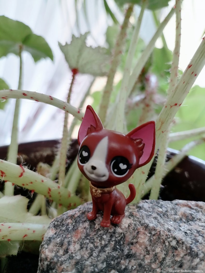 Лурения: любимая мелочь🤗 — Интересные игрушки и фигурки (разное): редкие