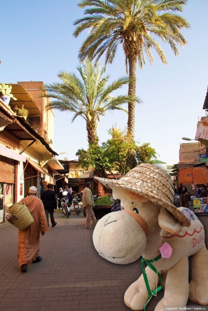 Верблюд в шляпе🐪👒 — Интересные игрушки и фигурки (разное): редкие