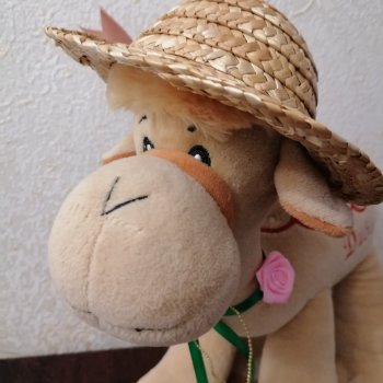 Верблюд в шляпе🐪👒