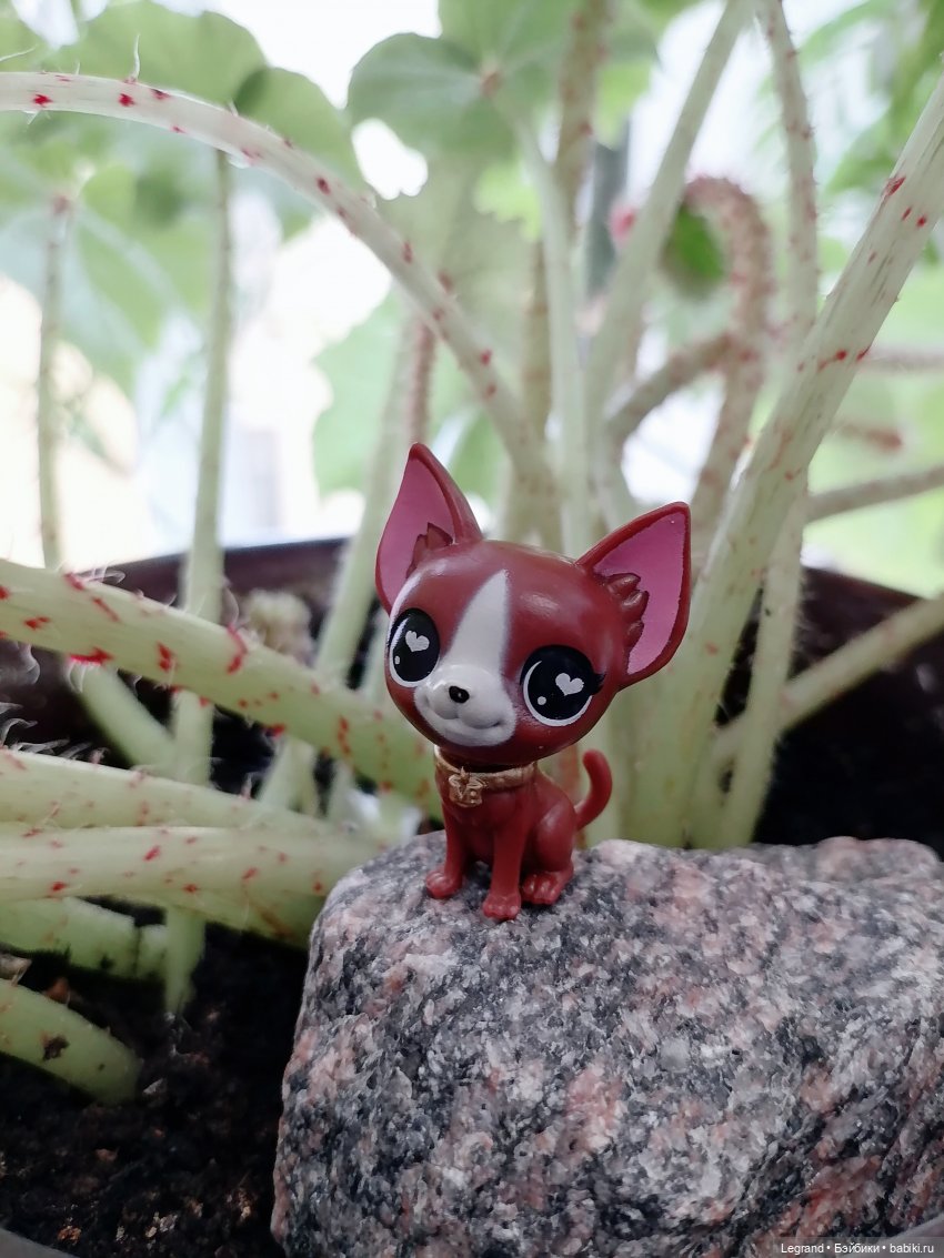 Лурения: любимая мелочь🤗 — Интересные игрушки и фигурки (разное): редкие