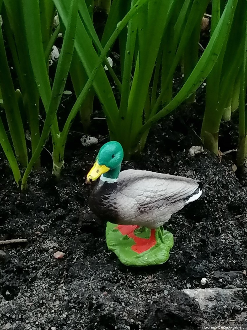 Первые весенние цветочки: Барин на прогулке (фото 6)