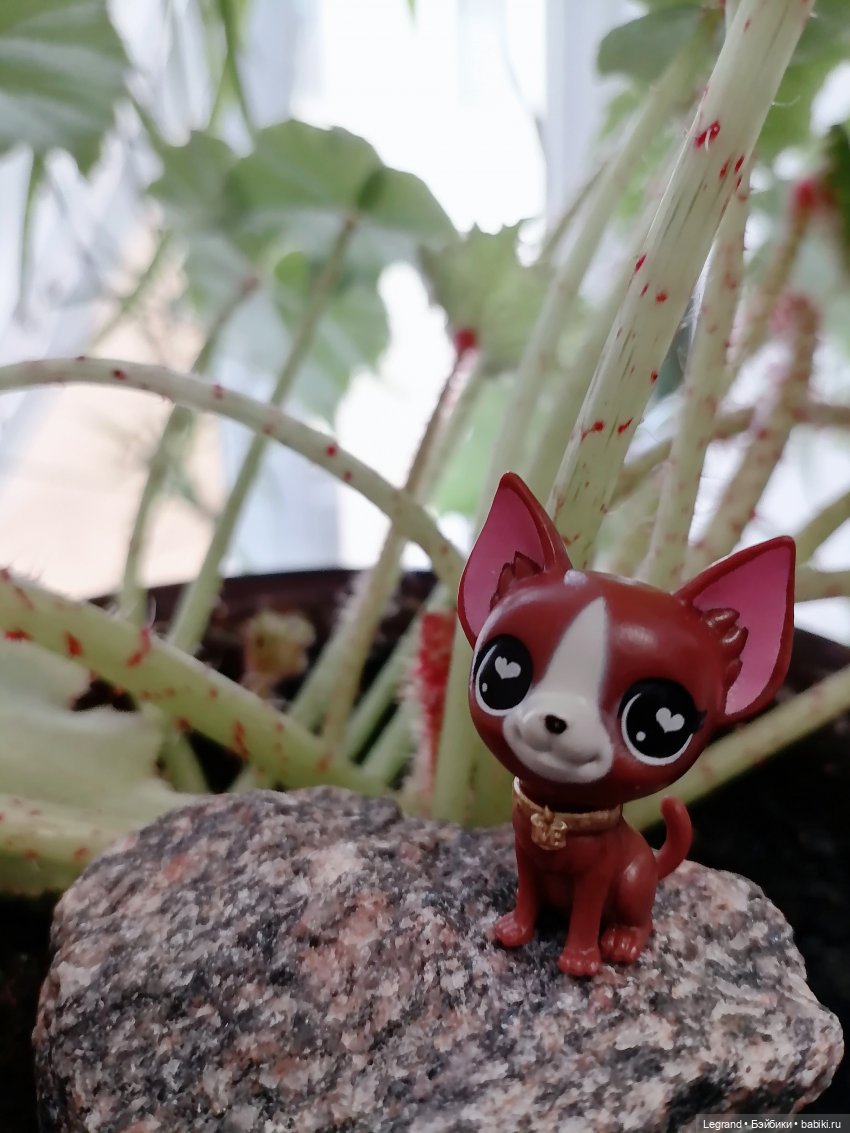 Лурения: любимая мелочь🤗 — Интересные игрушки и фигурки (разное): редкие