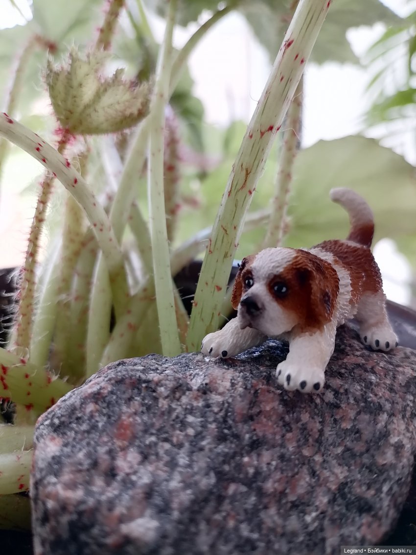 Лурения: любимая мелочь🤗 — Интересные игрушки и фигурки (разное): редкие (фото 7)