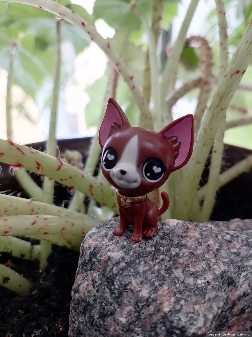 Лурения: любимая мелочь🤗 — Интересные игрушки и фигурки (разное): редкие