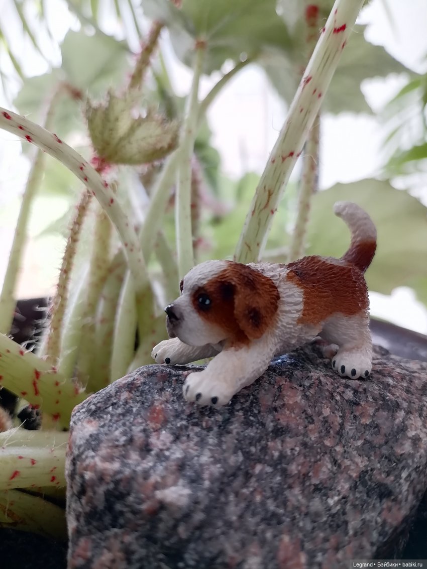 Лурения: любимая мелочь🤗 — Интересные игрушки и фигурки (разное): редкие (фото 6)