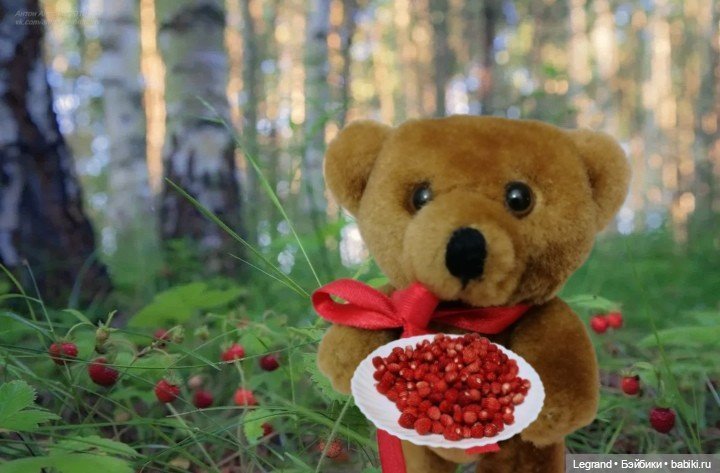 Мишель и клюква в сахарной пудре (фото 10)