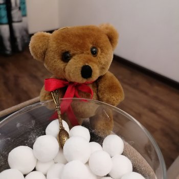 Мишель и клюква в сахарной пудре