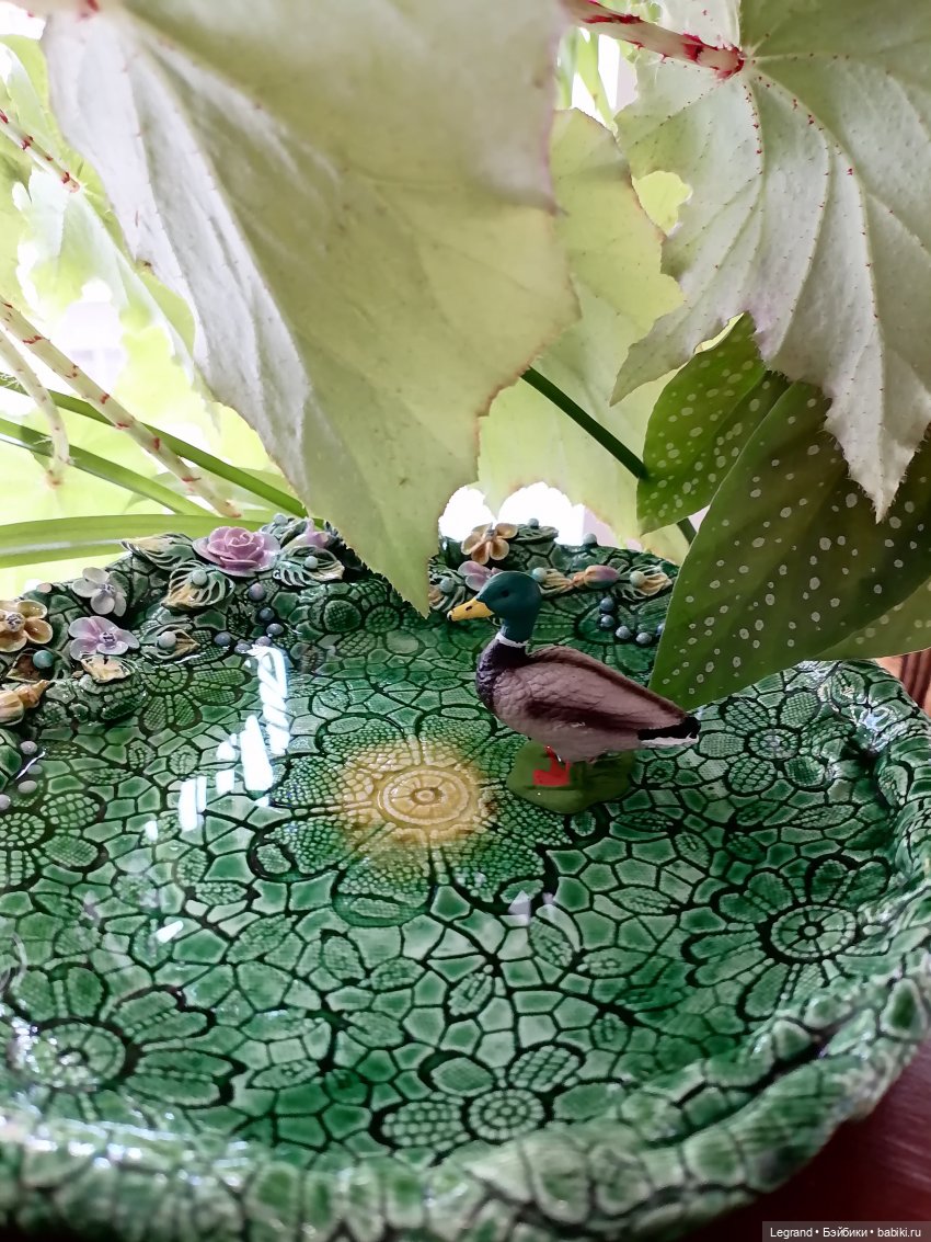 Лурения: Барин и черепашки в купальне (фото 8)