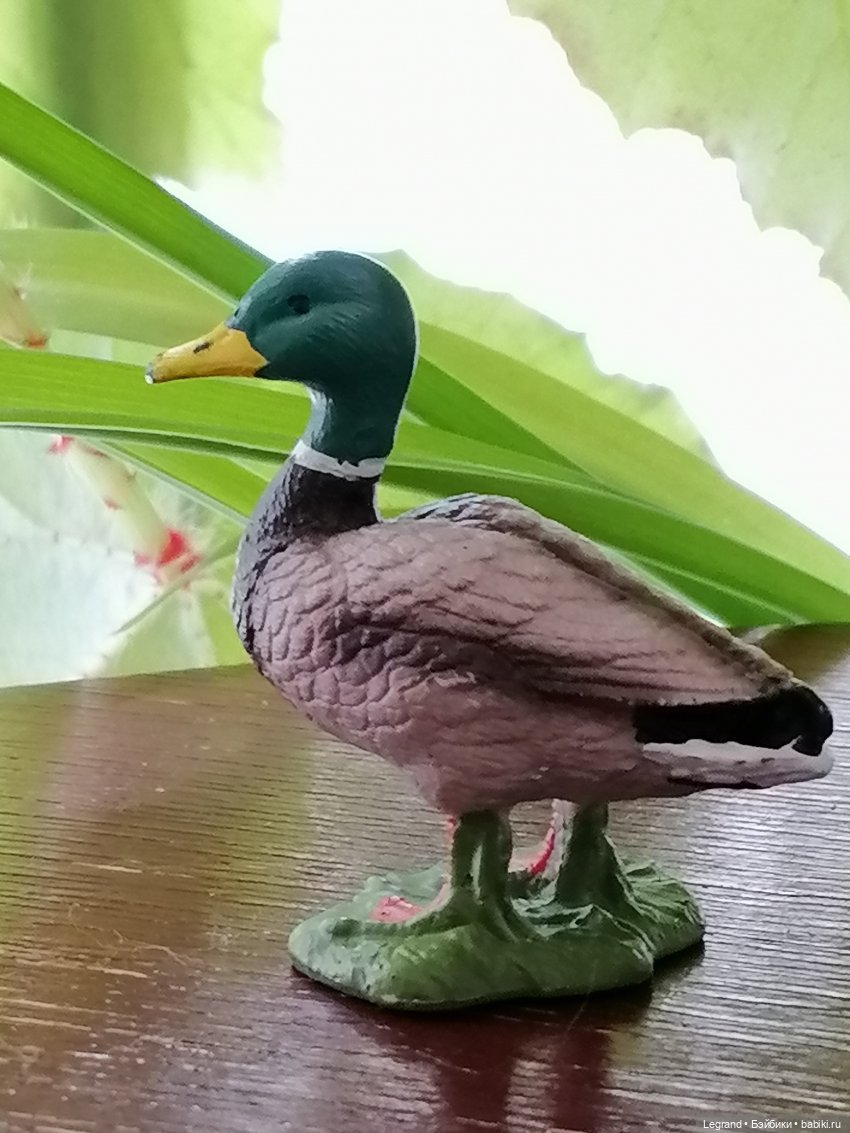 Лурения: Барин и черепашки в купальне