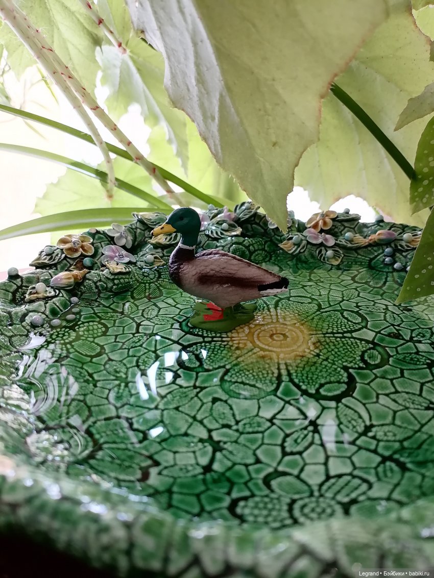 Лурения: Барин и черепашки в купальне (фото 4)