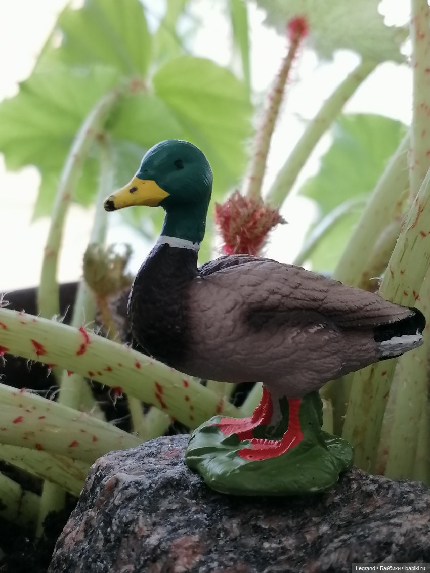 Лурения: Барин и черепашки в купальне
