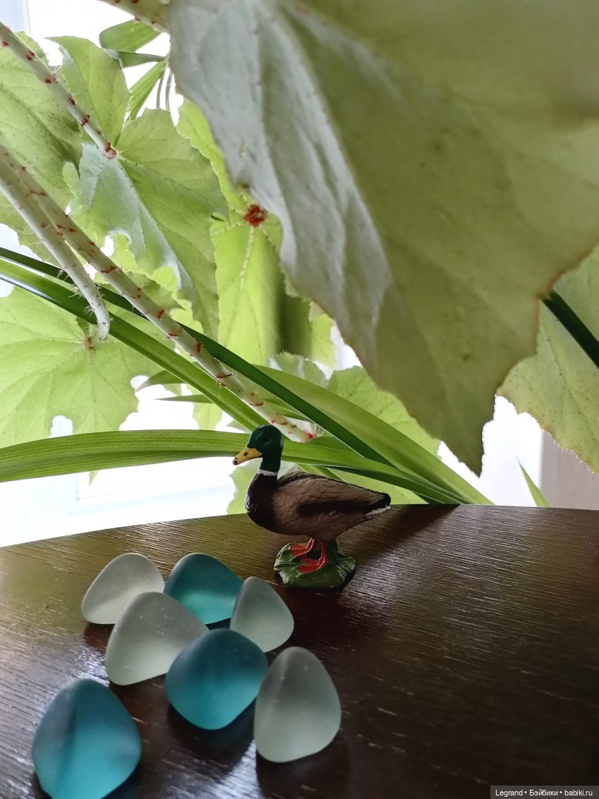 Лурения: Барин и черепашки в купальне